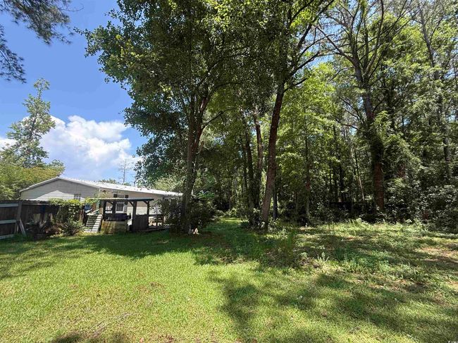 View of yard | Image 13