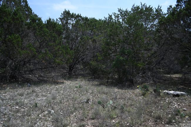 135 Agarita Dr, Home with 0 bedrooms, 0 bathrooms and null parking in Spring Branch TX | Image 10