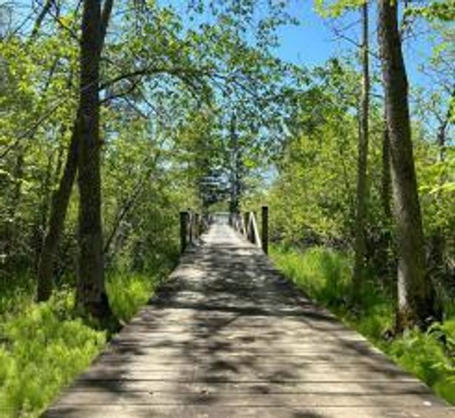 Lot 2-Image 5.jpg | Image 4