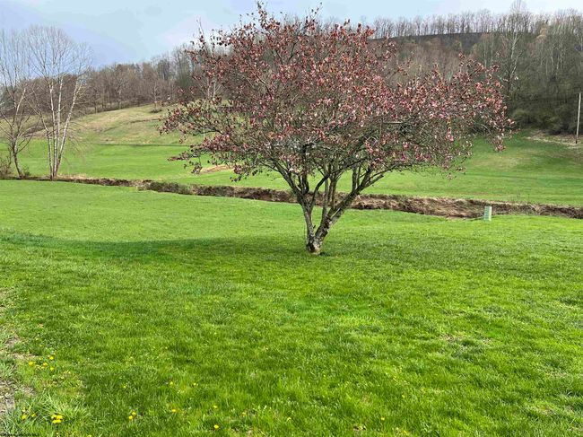 3730 Greenbrier Rd, Home with 3 bedrooms, 1 bathrooms and 3 parking in Salem WV | Image 37