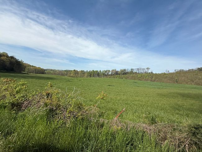 0 Lester Jarnigan Rd, Home with 0 bedrooms, 0 bathrooms and null parking in Rutledge TN | Image 4