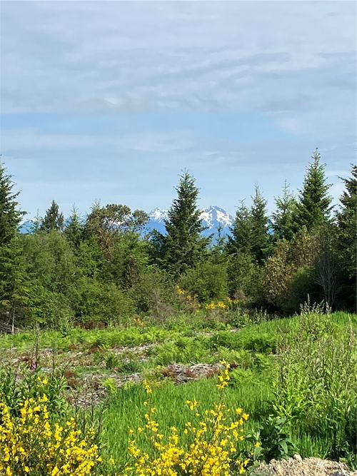 1 E Lone Fir Dr Road E, Shelton, WA, 98584 | Card Image