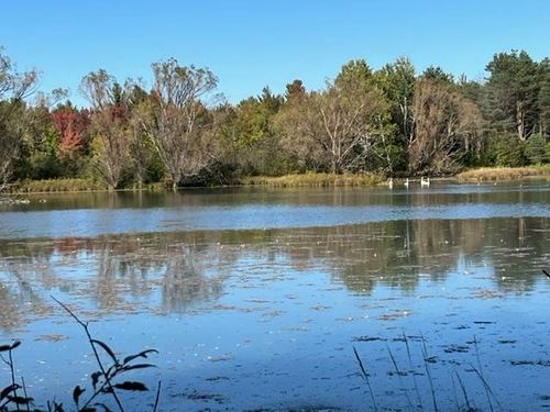 V/L 000 N 39 Road, Liberty Township, MI, 49663 | Card Image