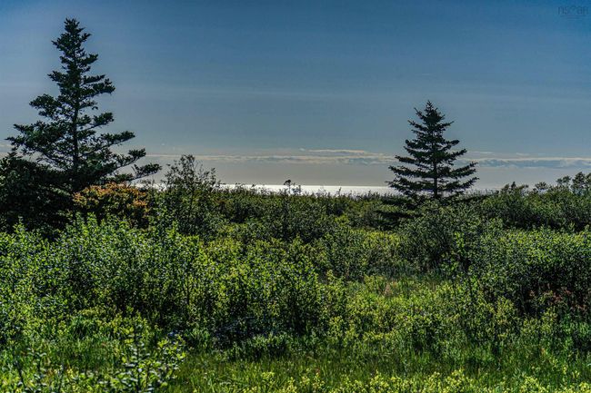 Lot 1 Lighthouse Rd, Home with 0 bedrooms, 0 bathrooms and null parking in Westport NS | Image 8