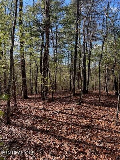 000 Towee Falls Road, Tellico Plains, TN, 37385 | Card Image