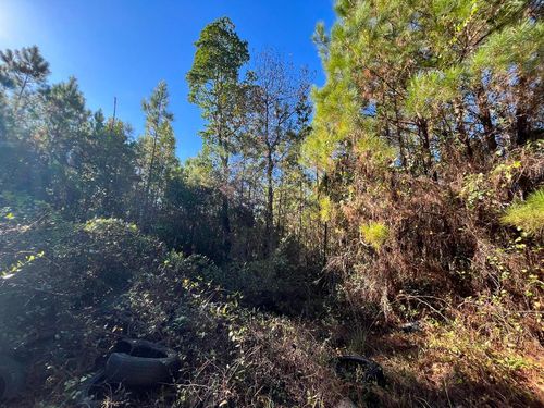 223 Mourning Dove Rd, Satsuma, FL, 32189-2334 | Card Image