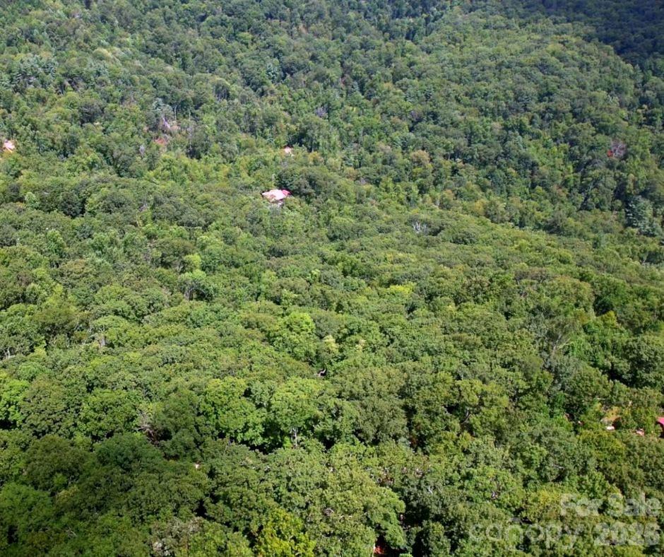 Land in Hendersonville 5