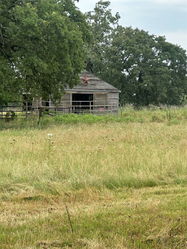 View of yard | Image 22