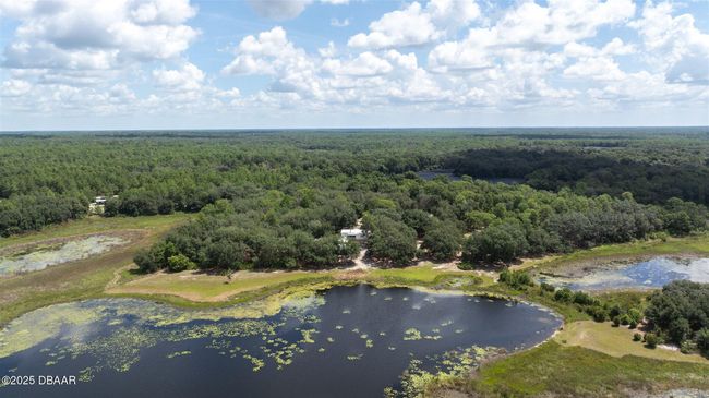 111 Penny Acres Ln, House other with 3 bedrooms, 2 bathrooms and null parking in Welaka FL | Image 52