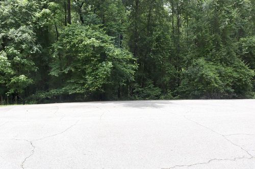 LT.102 Village Ct., Sparta, GA, 31087 | Card Image