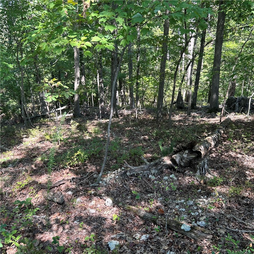 Land in Rogers 2
