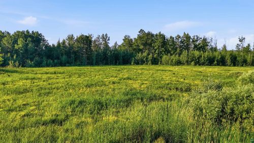 TBD Florence Dr, Moose Lake, MN, 55767 | Card Image