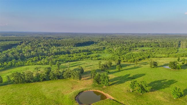 RD - 9759 Texas Highway 155, Home with 0 bedrooms, 0 bathrooms and null parking in Avinger TX | Image 29