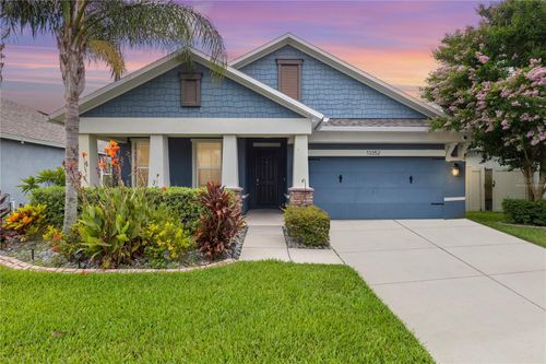 13352 Palmera Vista Dr, RIVERVIEW, FL, 33579-3502 | Card Image