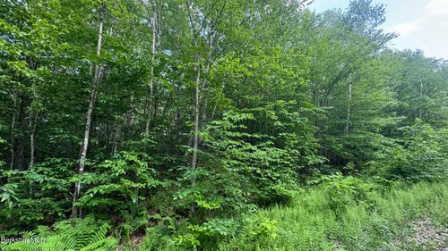 305 Lebenschauung Cir, Stamford, VT, 05352 | Card Image