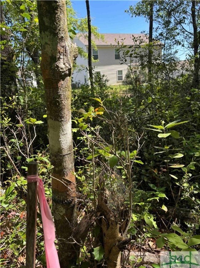 NW Corner | Image 13