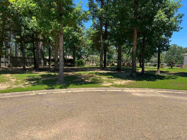 116 Canard Ct, Home with 0 bedrooms, 0 bathrooms and null parking in Ruston LA | Image 6