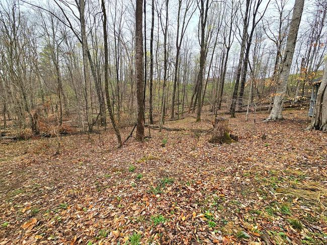481 Clinch Dr, House other with 2 bedrooms, 1 bathrooms and null parking in Pounding Mill VA | Image 32