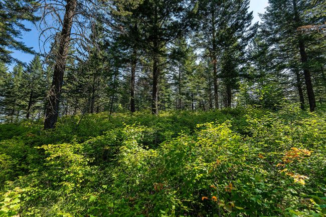 183 Pinto Trl, Home with 0 bedrooms, 0 bathrooms and null parking in Bigfork MT | Image 28