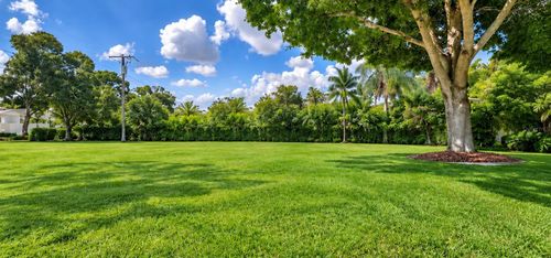 5002 W Juno Street, Tampa, FL, 33629 | Card Image