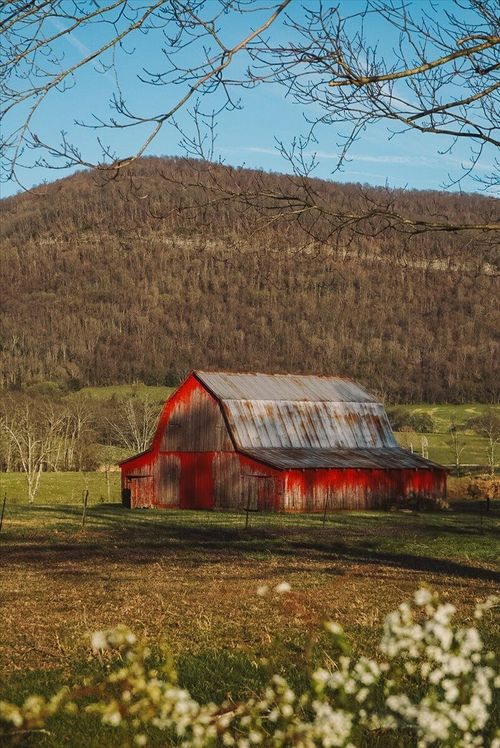 11414 Upper East Valley Rd, Pikeville, TN, 37367-3444 | Card Image