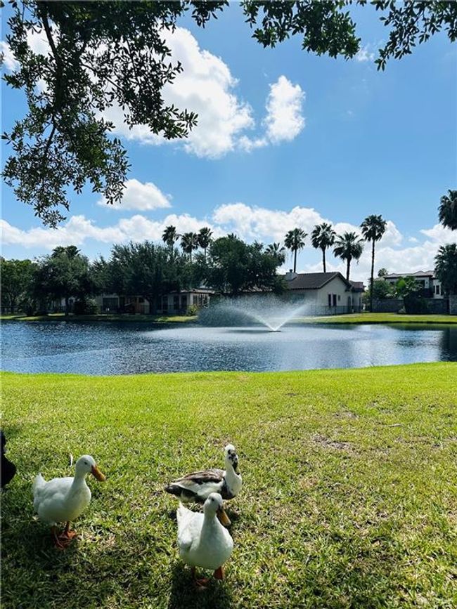 Water view | Image 30