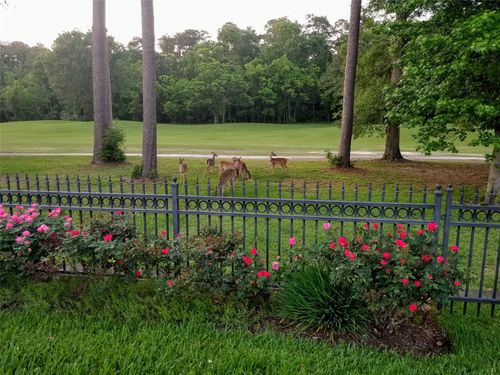 3303 N Cotswold Manor Dr, Kingwood, TX, 77339-1599 | Card Image