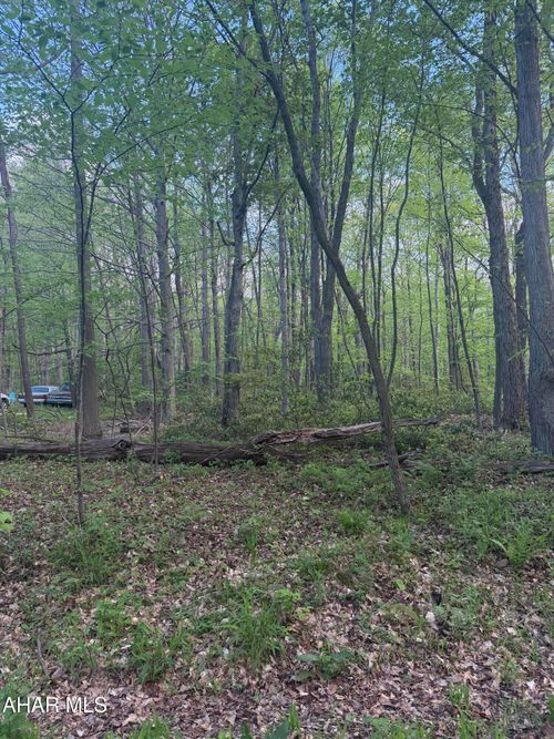 Lot 138 Ingot Road, Claysburg, PA, 16625 | Card Image