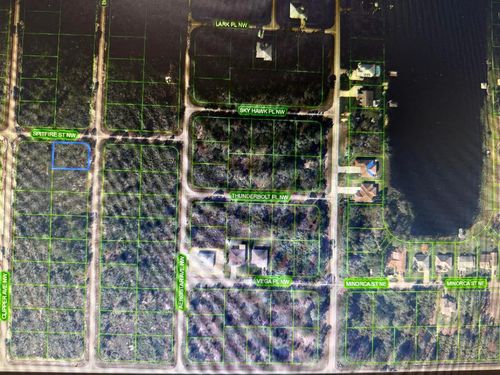 314 Spitfire St Nw, Lake Placid, FL, 33852 | Card Image