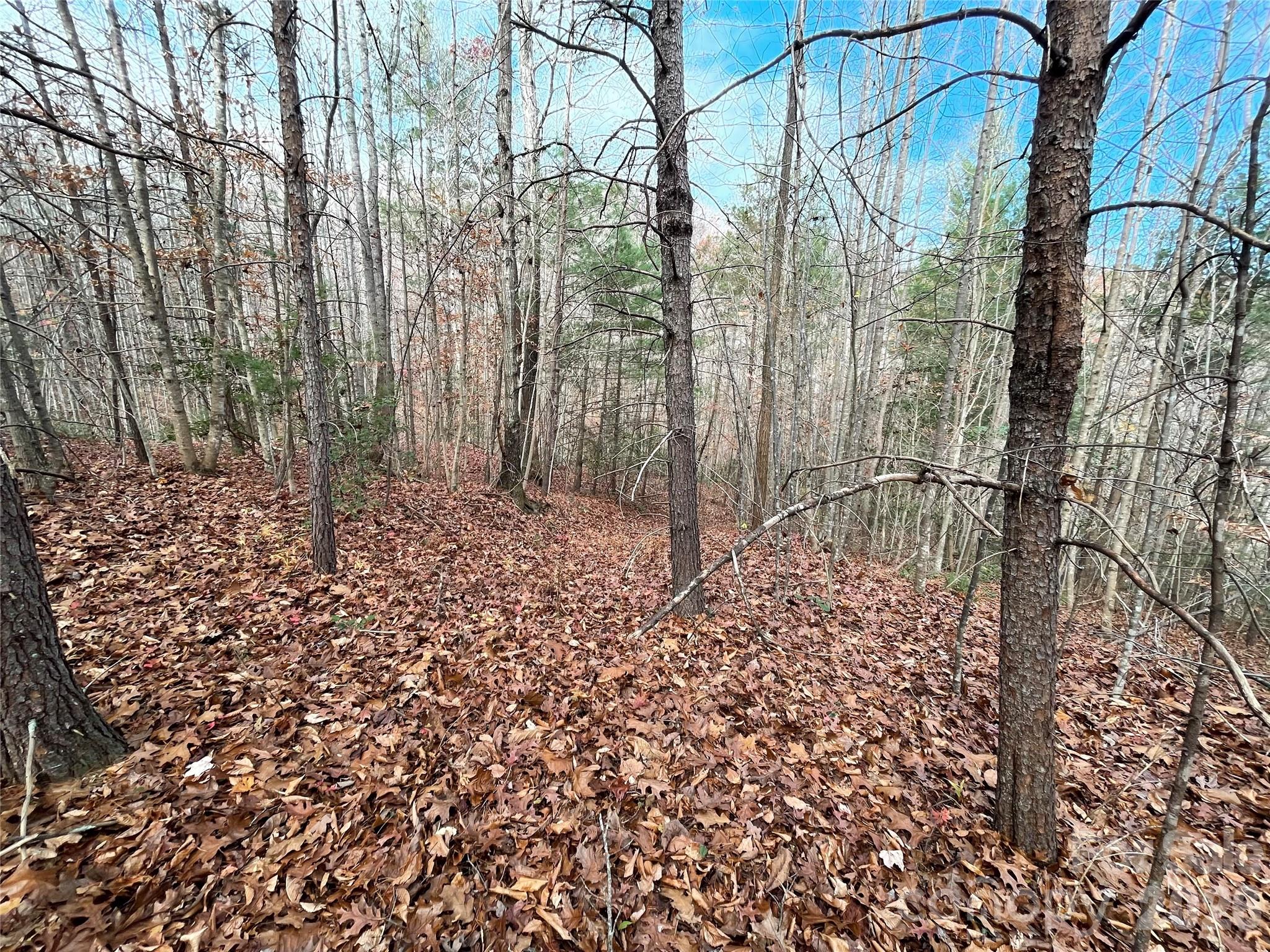 Land in Lenoir 4
