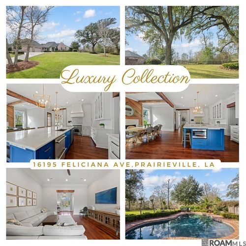 16195 Feliciana Ave, Prairieville, LA, 70769-3079 | Card Image