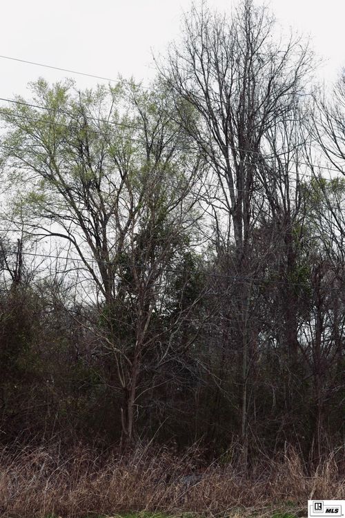 0 Highway 562, Wisner, LA, 71378 | Card Image