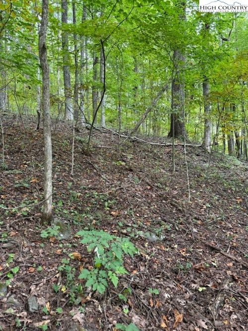 770 Tbd Ivy Court, Creston, NC, 28615 | Card Image