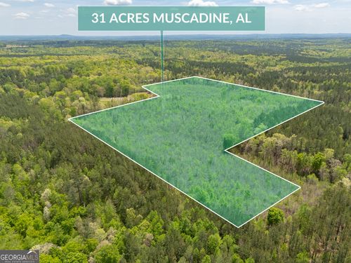 0 County Road 49, Muscadine, AL, 36269 | Card Image