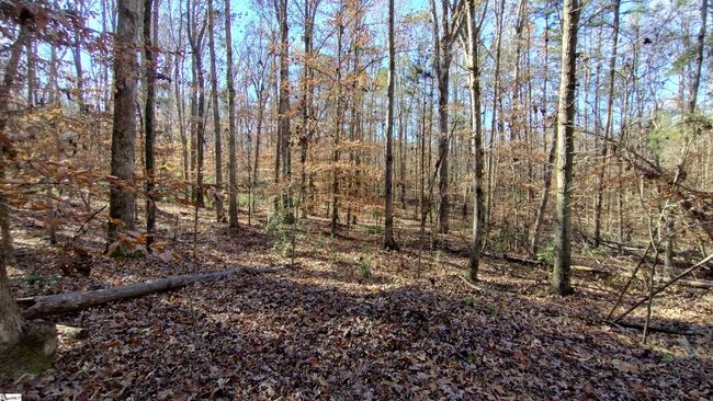 00A Sullivan Rd, Home with 0 bedrooms, 0 bathrooms and null parking in Laurens SC | Image 4