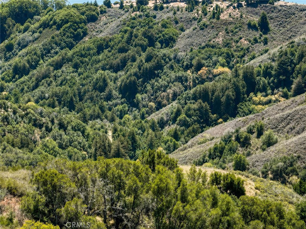 Land in Big Sur 2