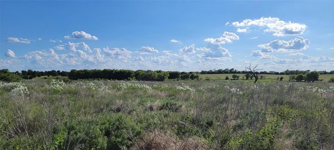 View of local wilderness featuring a rural view. | Image 5