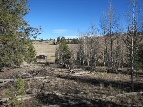 58 June Ln, Hartsel, CO, 80449 | Card Image