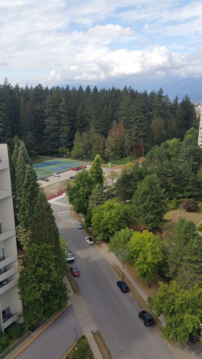 Birds eye view of property featuring a wooded view | Image 14
