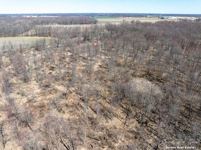 3796 Hoyt Rd, Home with 0 bedrooms, 0 bathrooms and null parking in Belding MI | Image 16