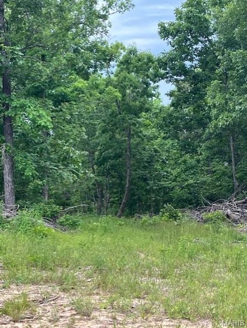 263 Madison Cr 410, Fredericktown, MO, 63645 | Card Image