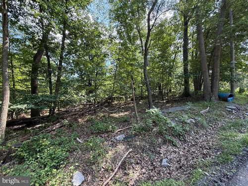 LOT 33 Audubon Rd, HEDGESVILLE, WV, 25427-6256 | Card Image
