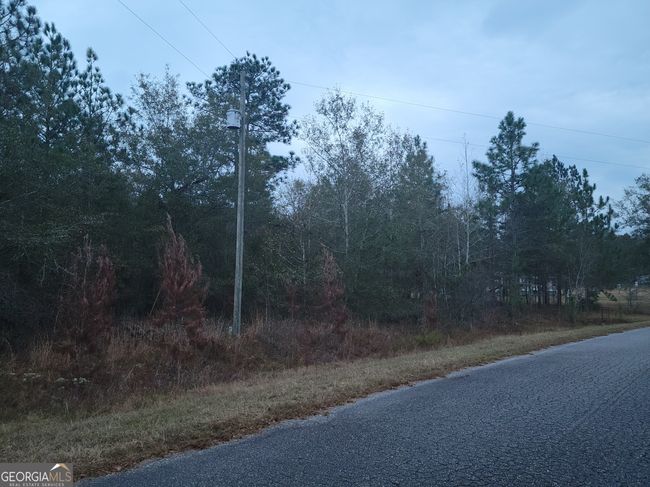 121 Case Rd, Home with 0 bedrooms, 0 bathrooms and null parking in Sylvester GA | Image 7