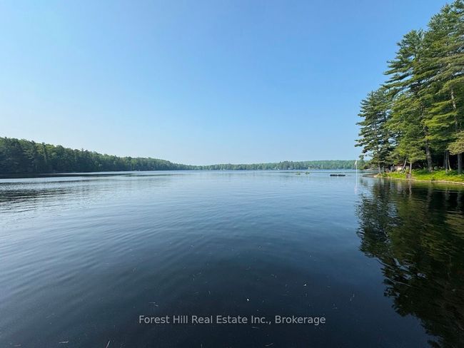 1131 Buckslide Rd, House other with 3 bedrooms, 1 bathrooms and 6 parking in Algonquin Highlands ON | Image 45