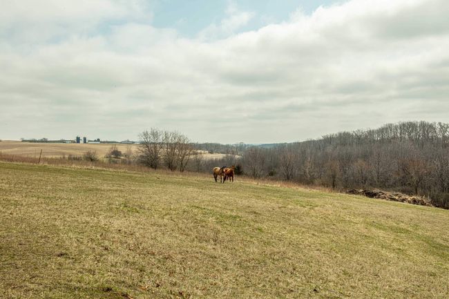 5995 Section Line Road, House other with 5 bedrooms, 3 bathrooms and null parking in RIDGEWAY WI | Image 71
