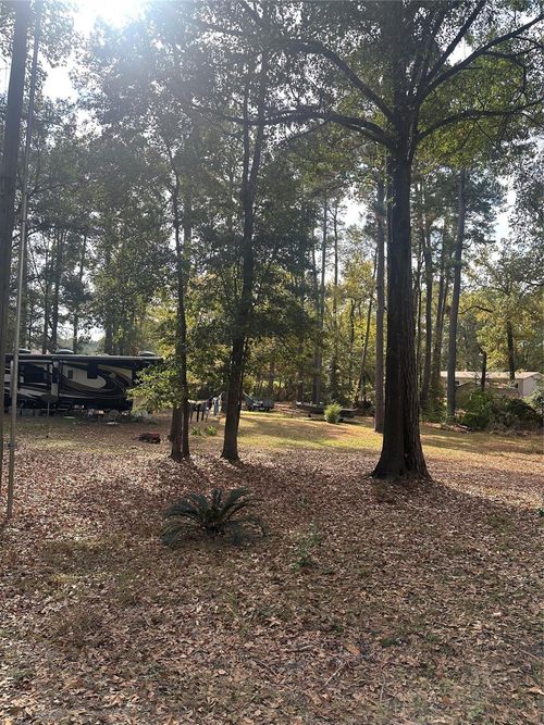 376 Nueces Dr, Trinity, TX, 75862-6430 | Card Image