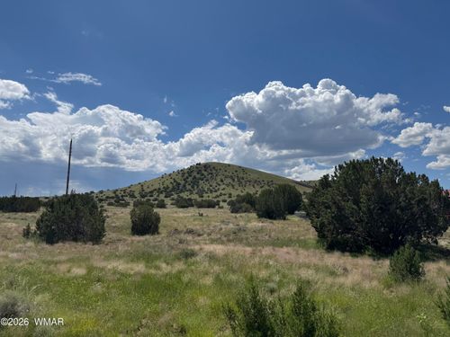 20 County Road 5203, Concho, AZ, 85924 | Card Image
