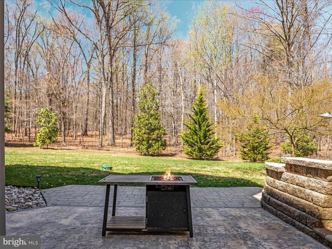460 Solitude Ln, House other with 4 bedrooms, 5 bathrooms and null parking in Boyce VA | Image 12