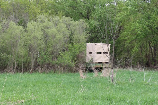 tree stand 3 | Image 18