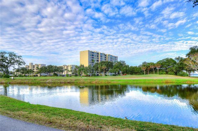 UNIT-506 - 2616 Cove Cay Dr, Condo with 1 bedrooms, 2 bathrooms and null parking in CLEARWATER FL | Image 99